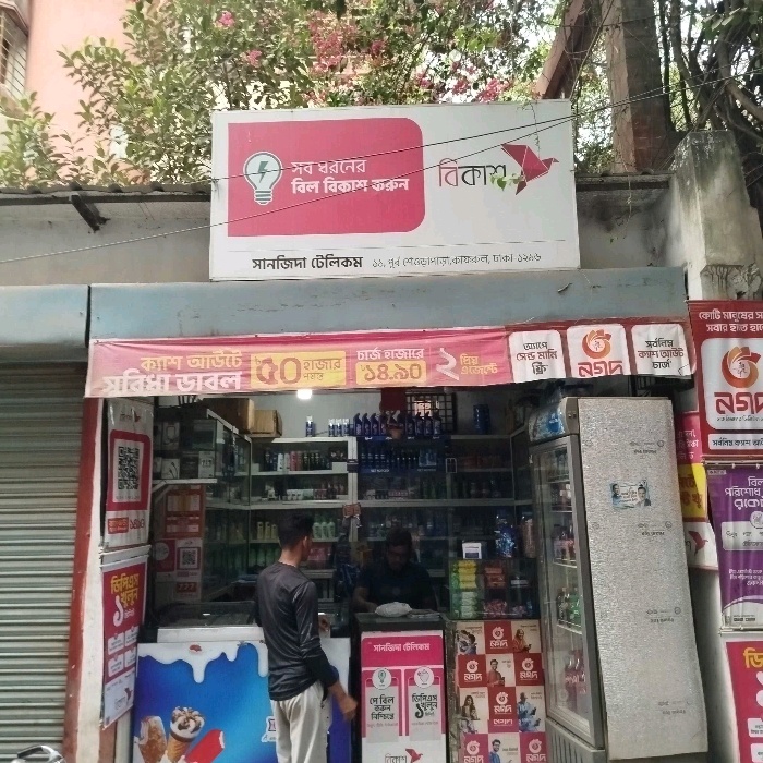 Sanzida Telecom