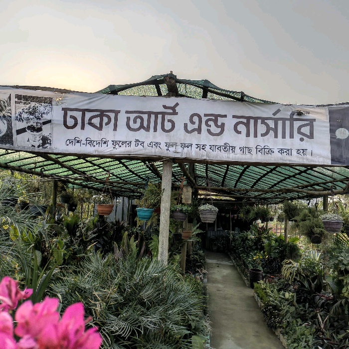Dhaka Art and Nursery 