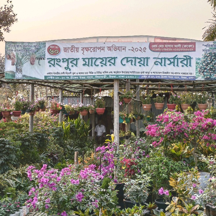 Rangpur Ma Er Dowa Nursery 