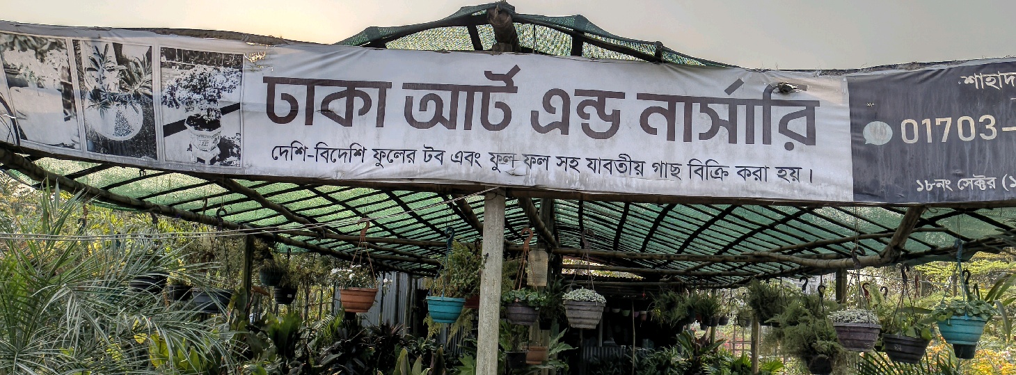 Dhaka Art and Nursery 