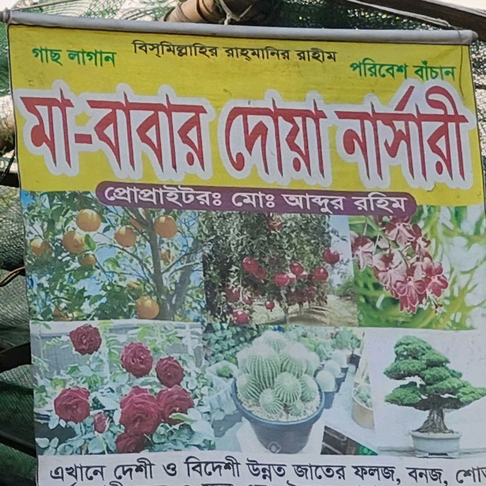 Ma Babar Dowa Nursery 