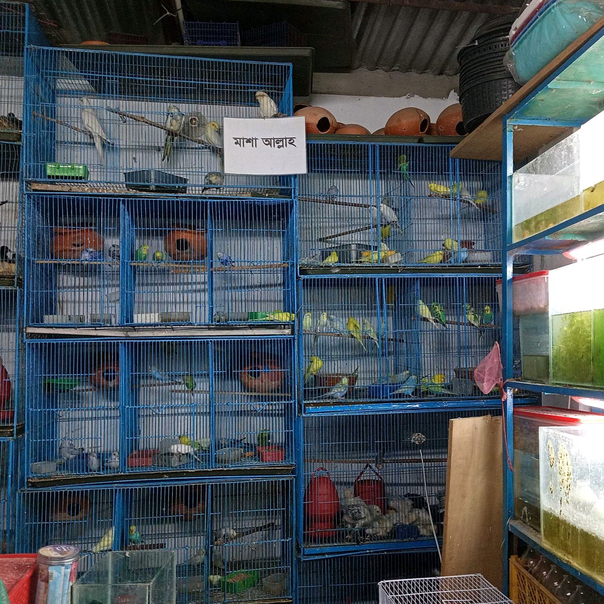 Ayaan Pet Shop