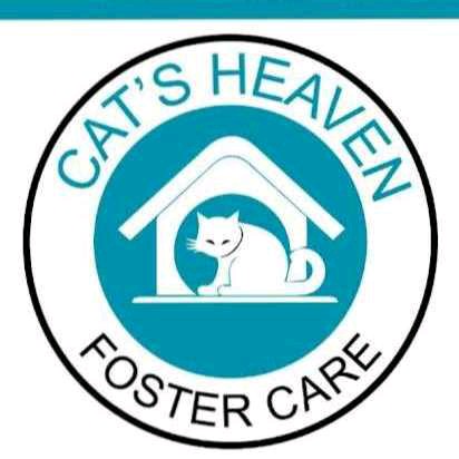 Cat's Heaven Foster Care