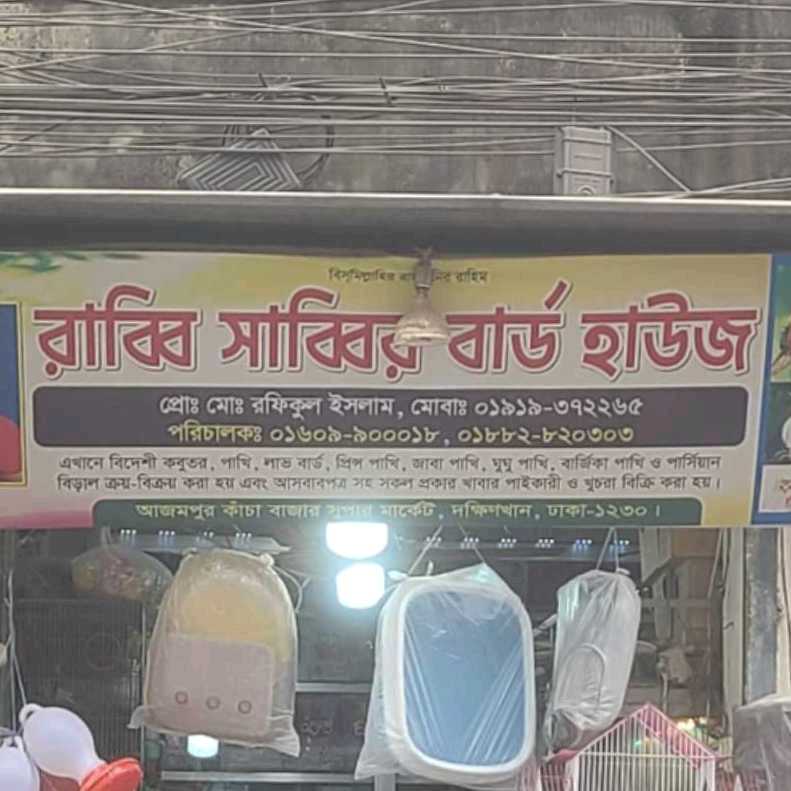 Rabbi Sabbir Bird House 