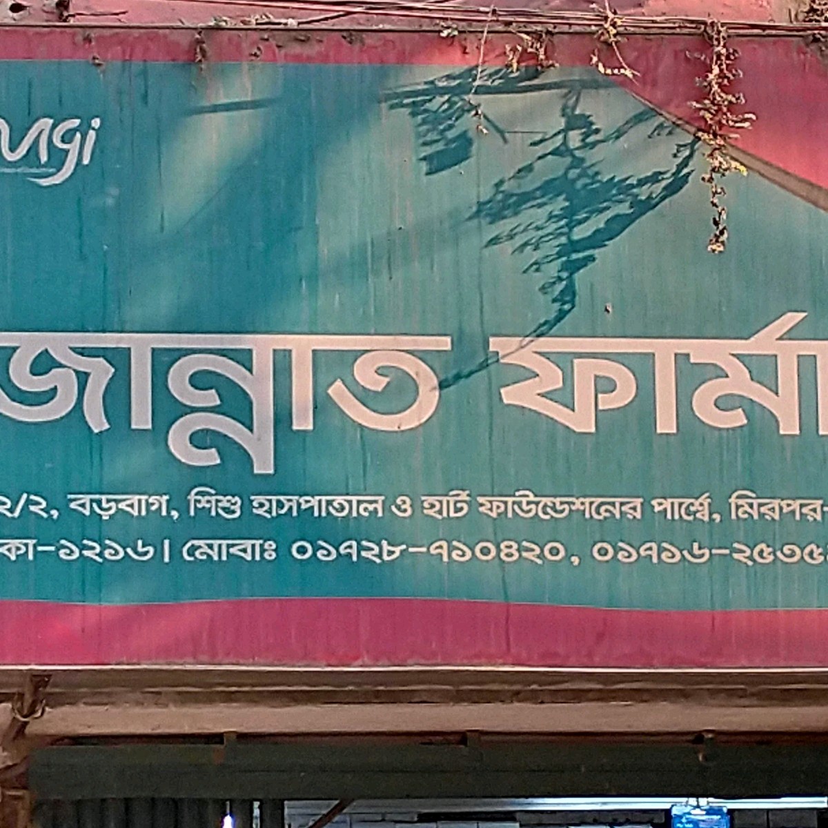 Jannat Pharma