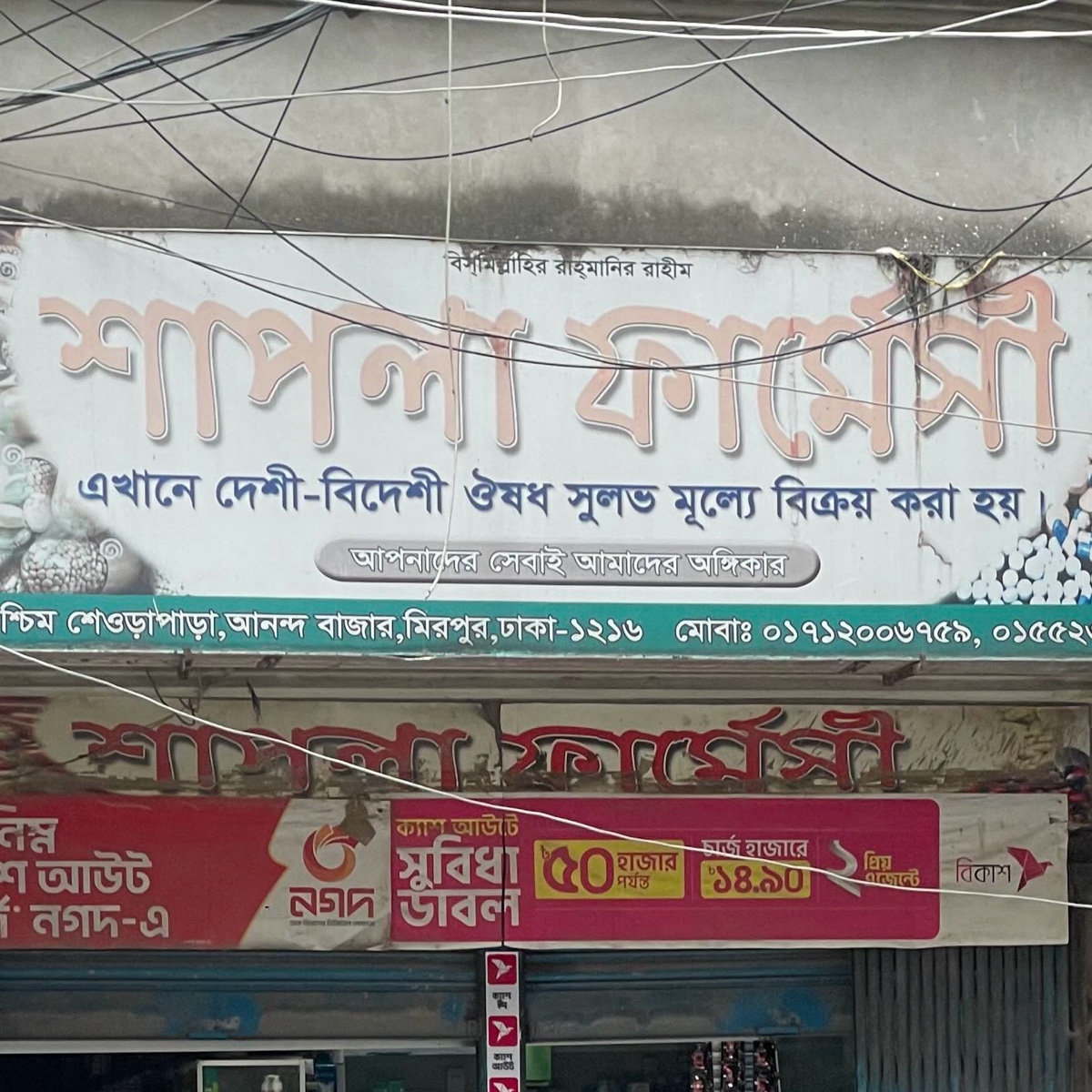 Shapla Pharmacy 