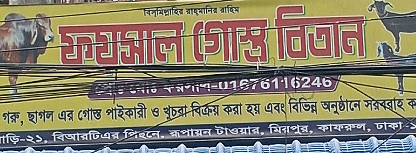 Faysal Gosto Bitan