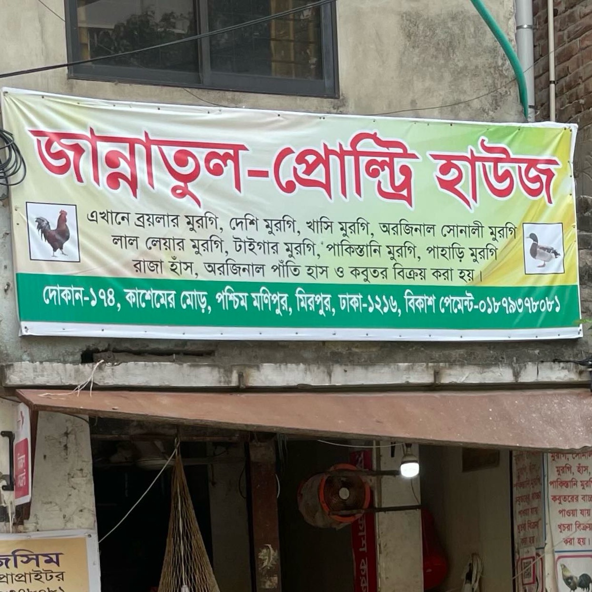 Jannatul Poultry House 