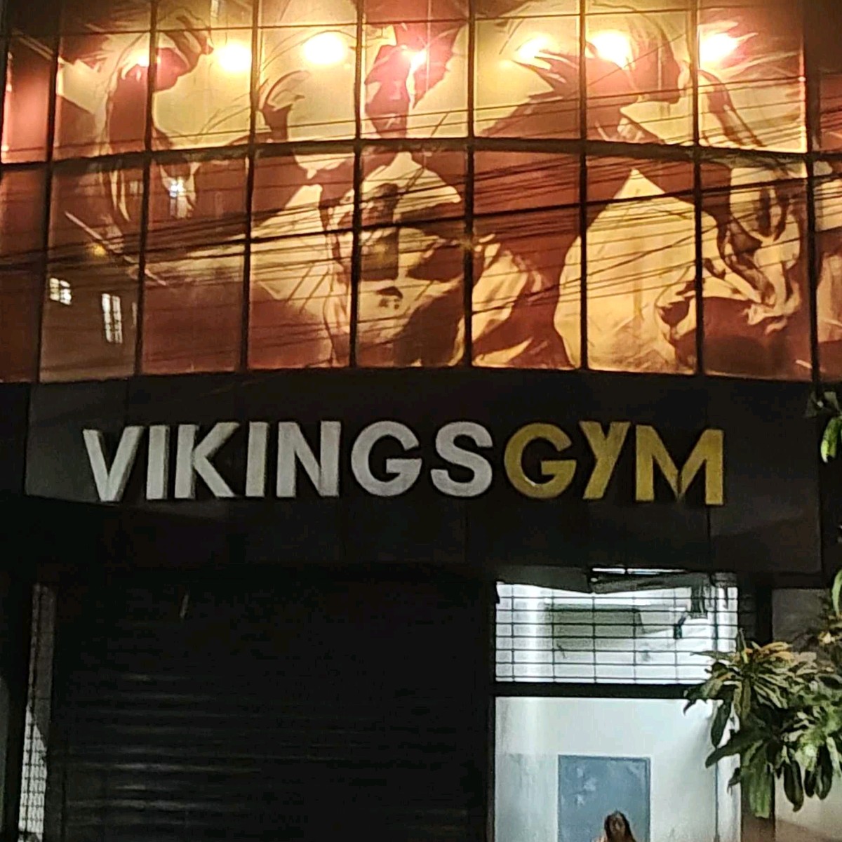 Vikings Gym