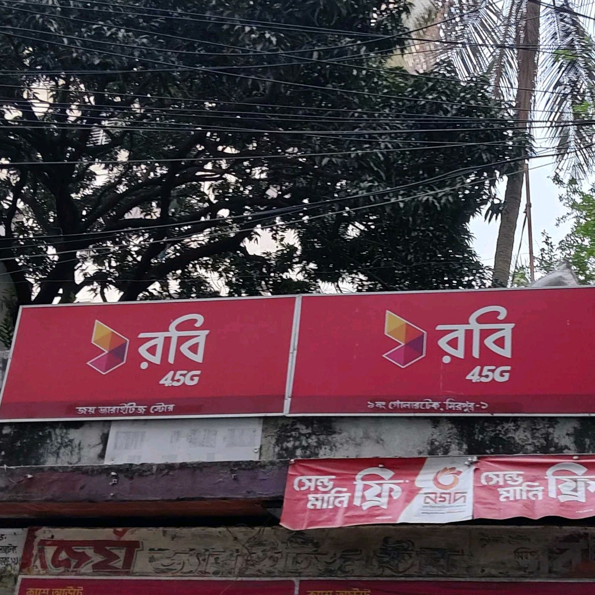 Joy Varaitise Store