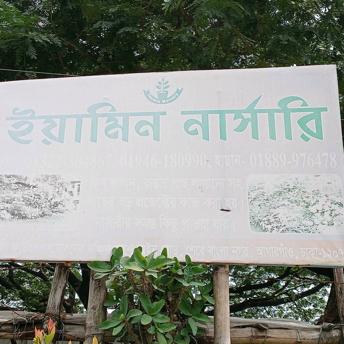 Yamin Nursery 