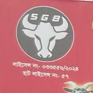 Shahin Gosto Bitan