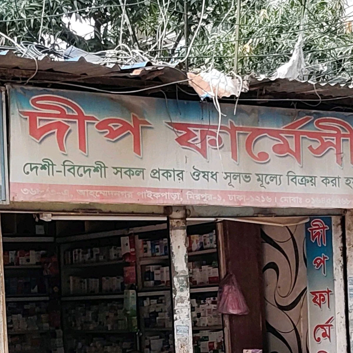 Dip Pharmacy 