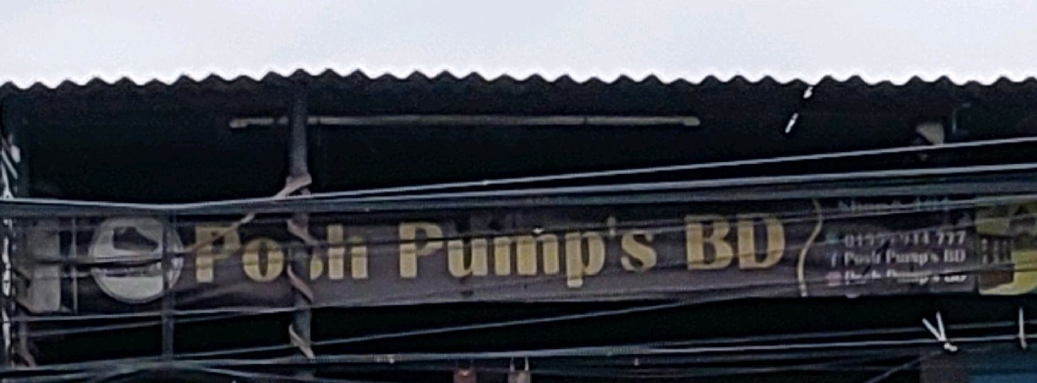 Posh Pump's Bd