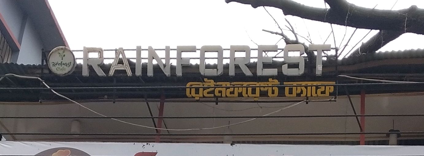Rainforest Cafe - Mohammadpur