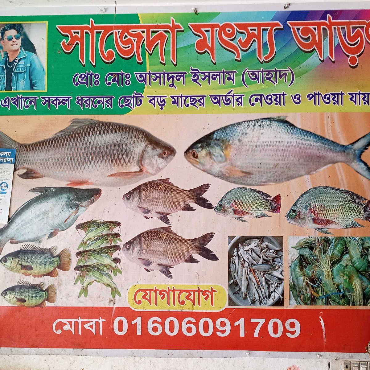 Sajeda Motsho Arat