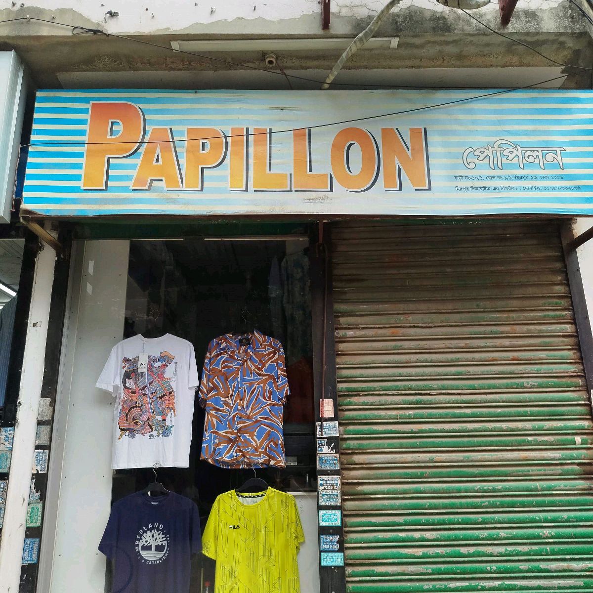Papillon