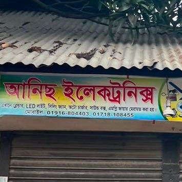 Anis Electronics