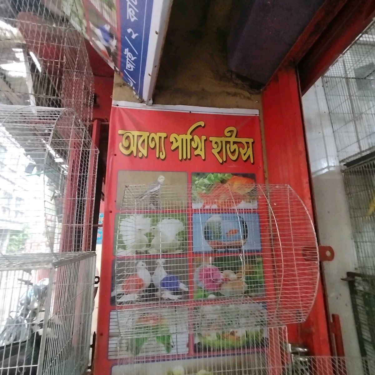Oronno Pakhi House