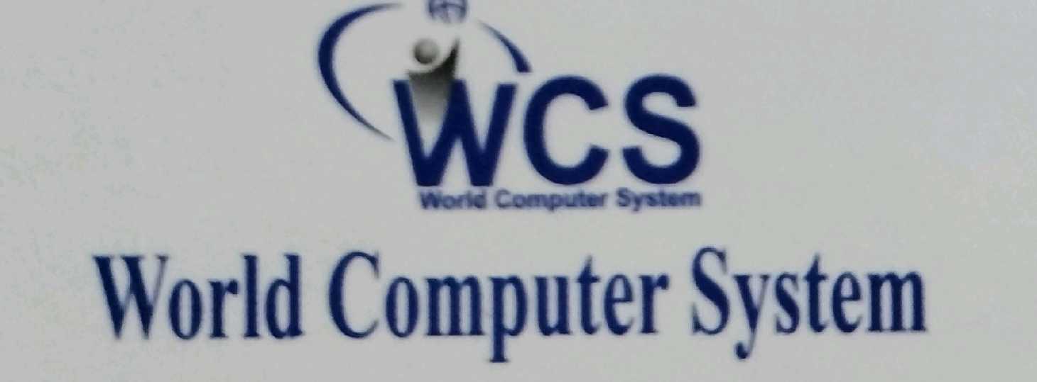 World Computer System