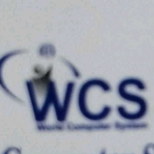 World Computer System