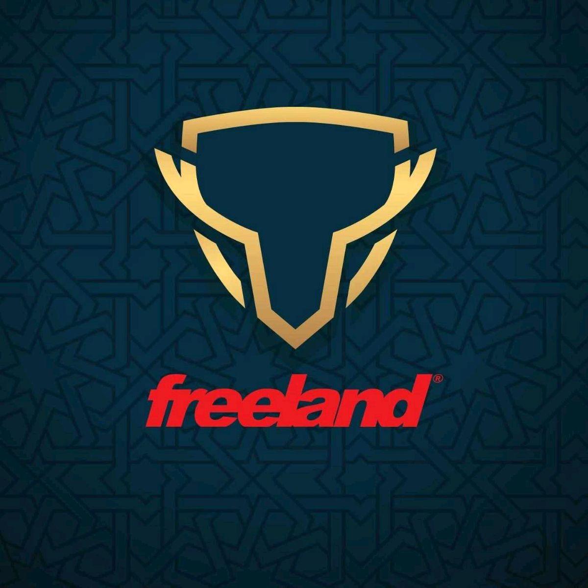 Freeland  - Ring road