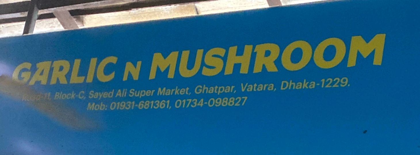 Garlic An Mushroom