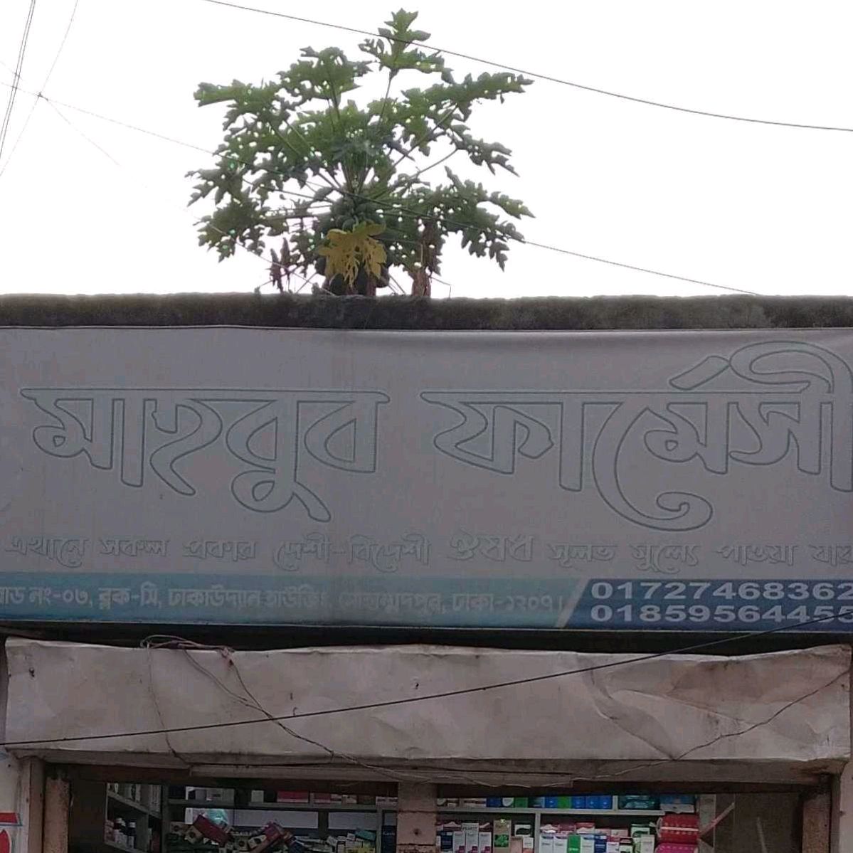 Mahbub Pharmacy