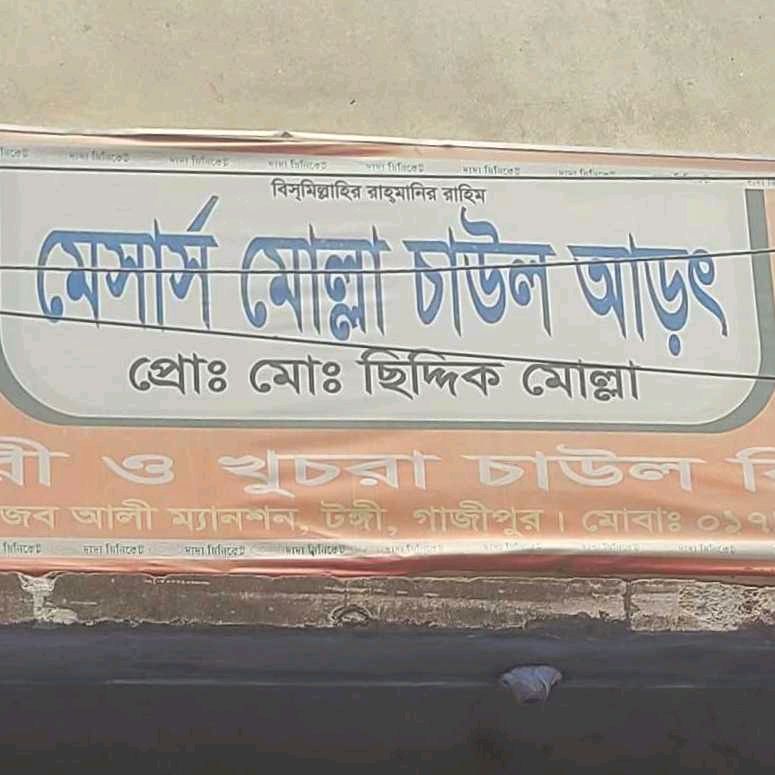 M/S Molla Rice Agency