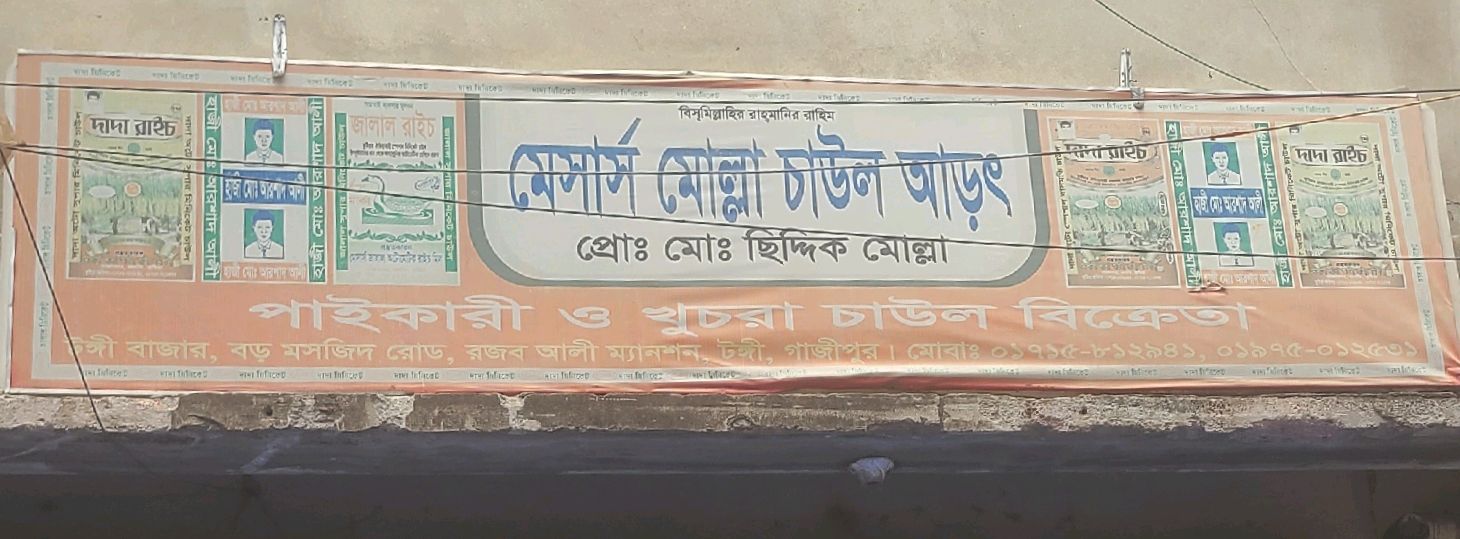 M/S Molla Rice Agency