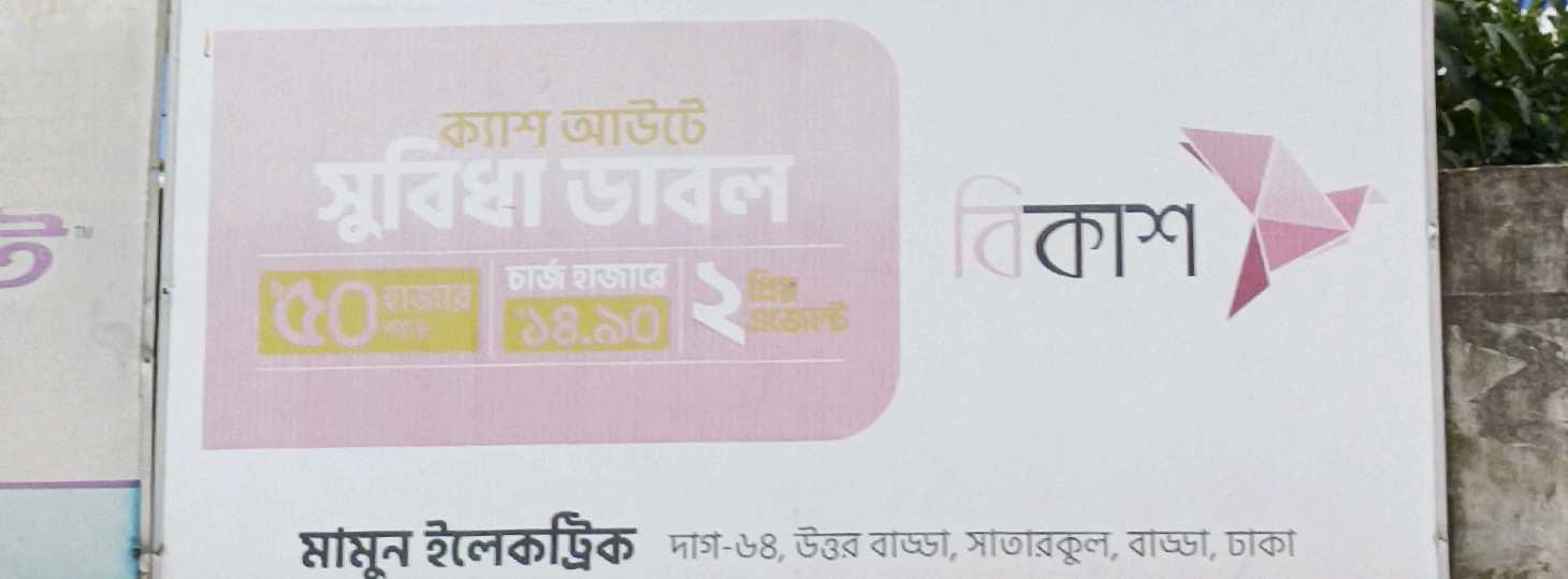 Mamun Electric