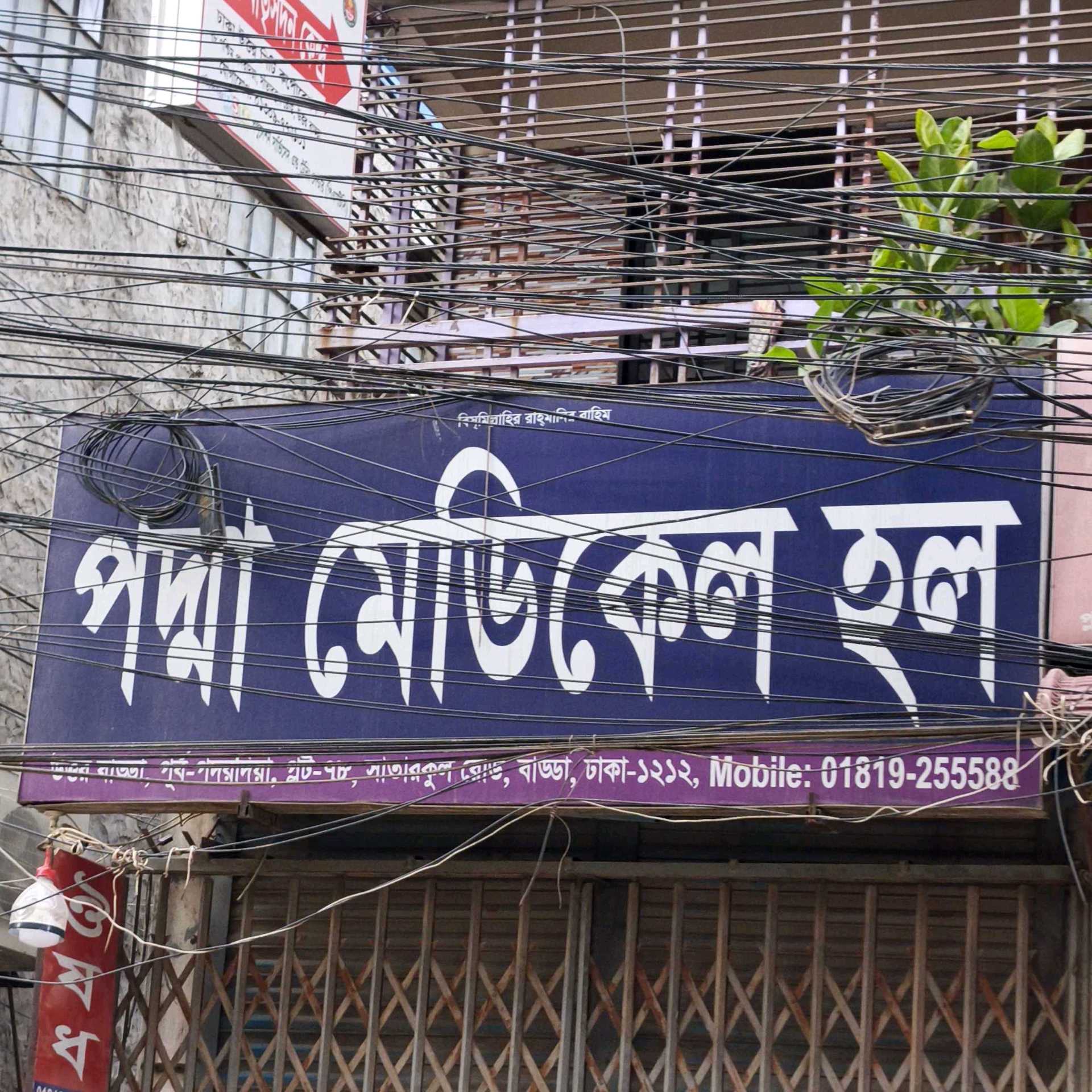 Padma Medical Hall