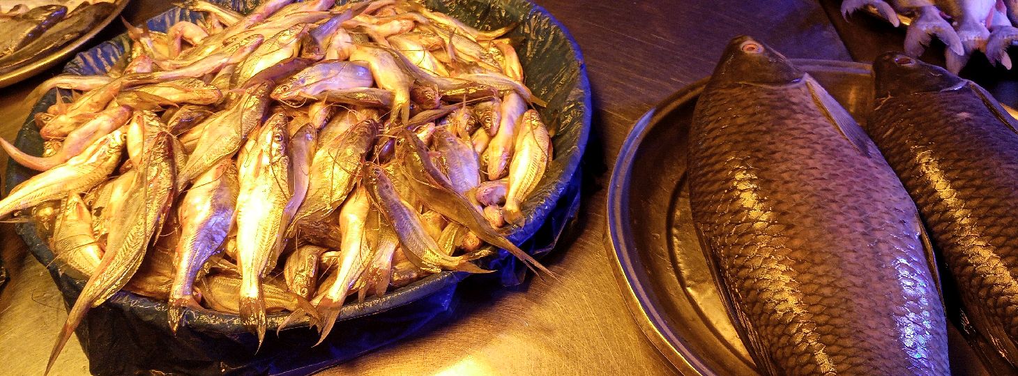 Abdullah Fish