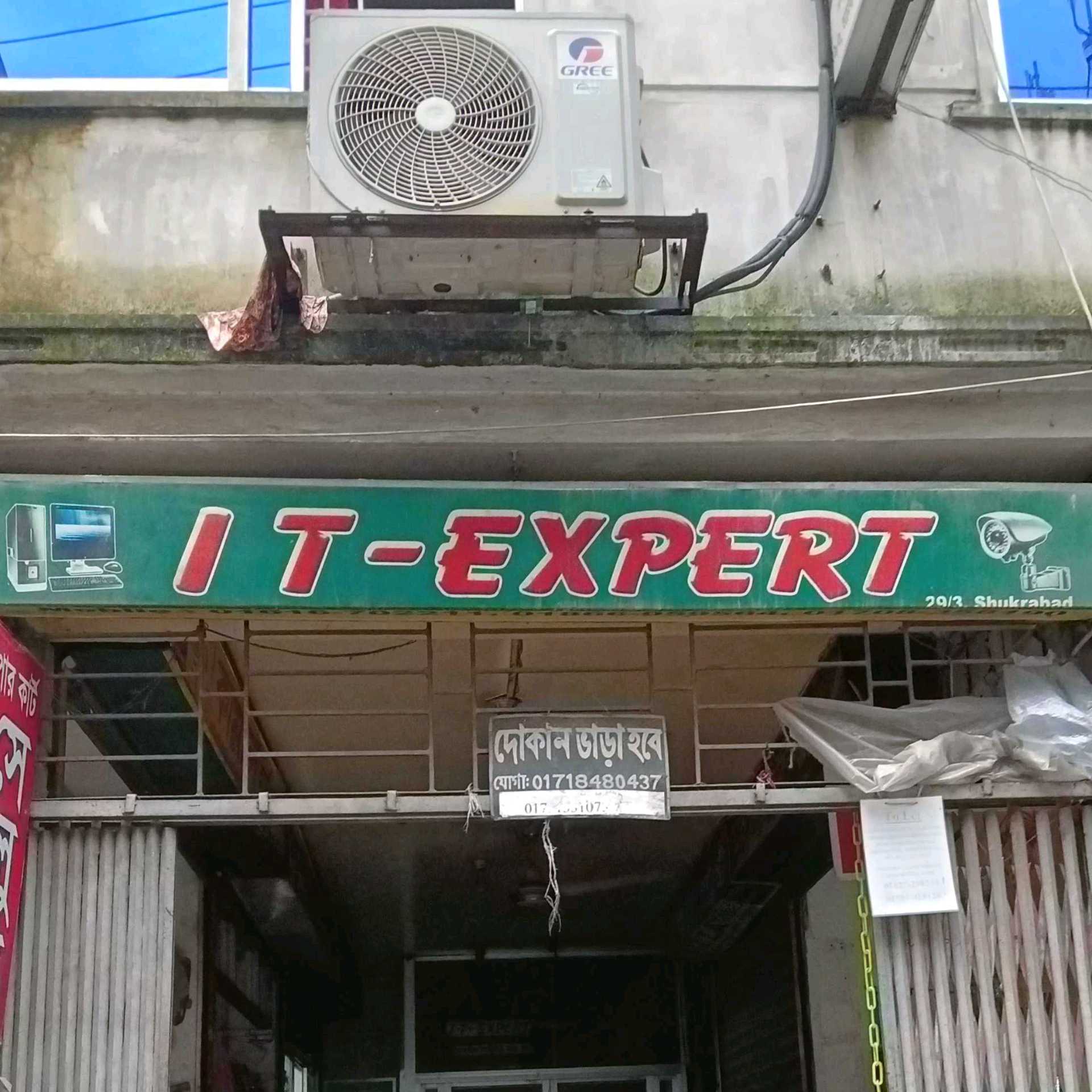 IT Expert