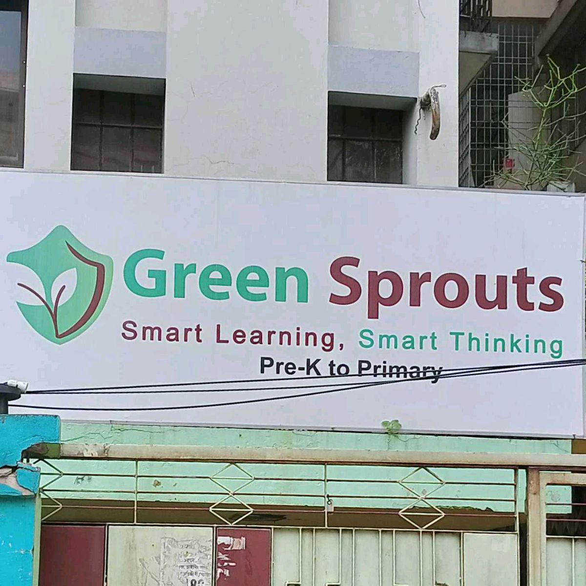 Green Sprouts