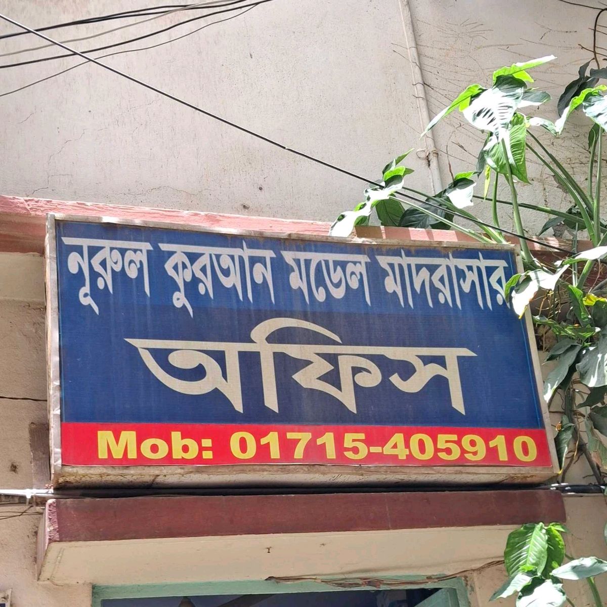 Nurul Quran Model Madrasa