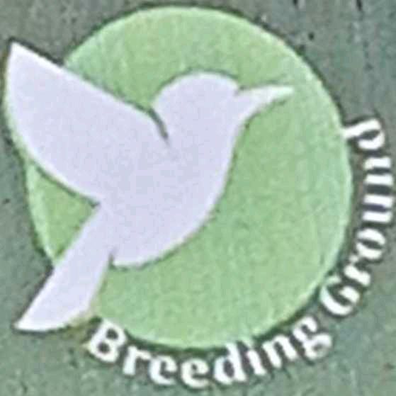 Breeding Ground