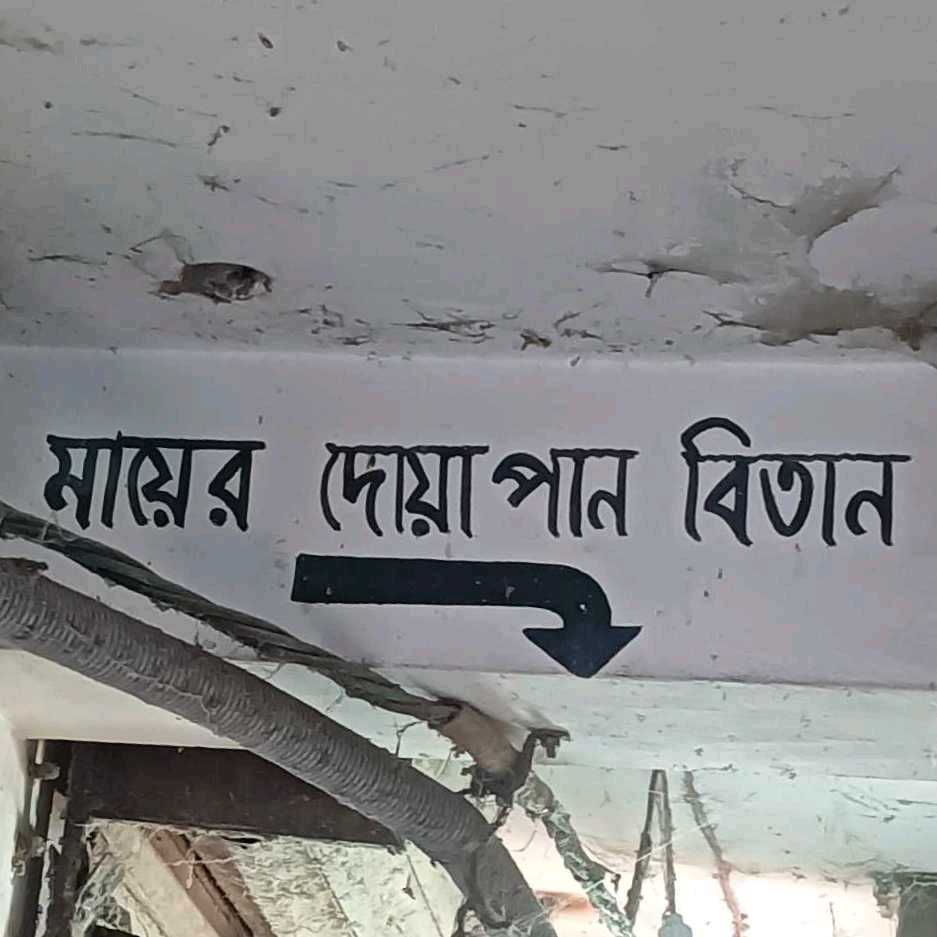 Mayer Dua Pan Betan