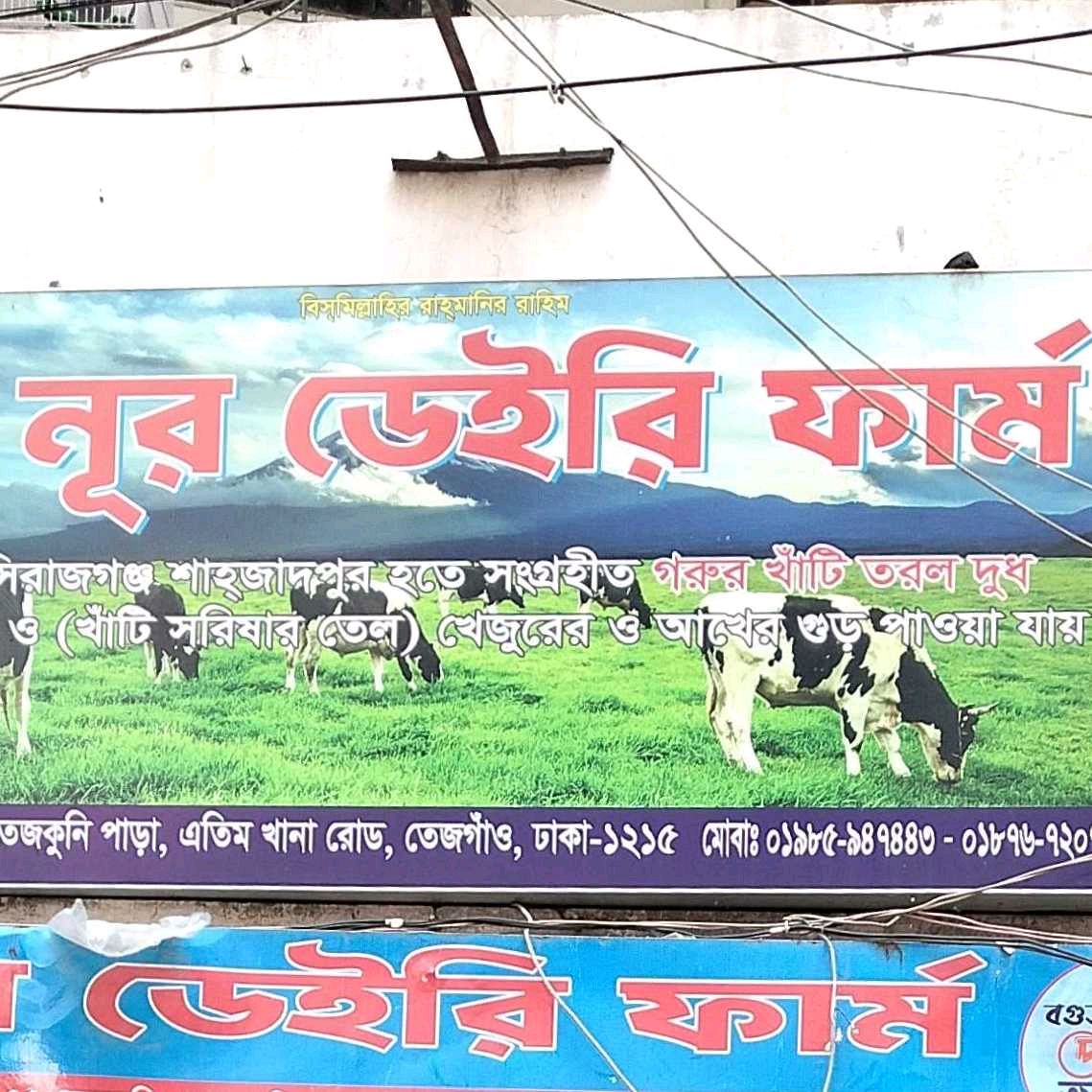 Nur Dairy Farm