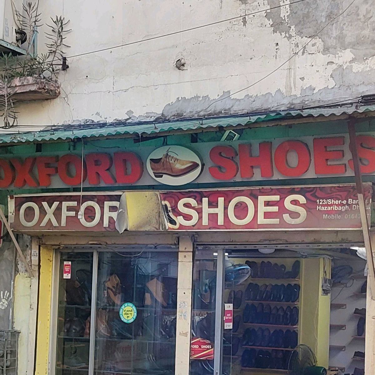 Oxford Shoes