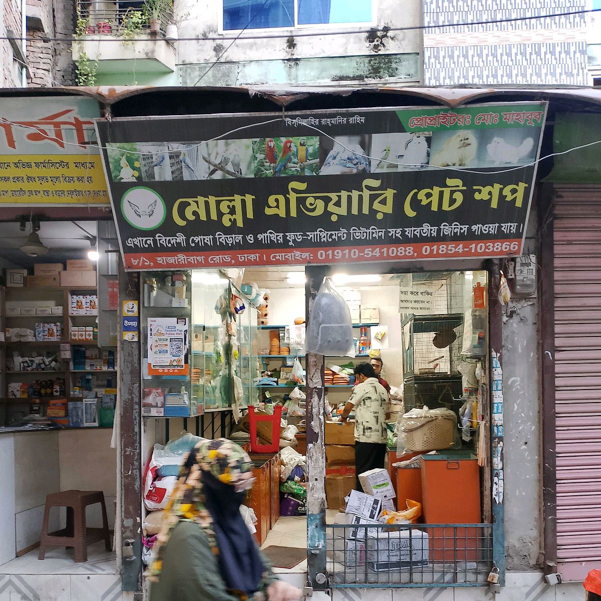 Molla Aviary Pet Shop