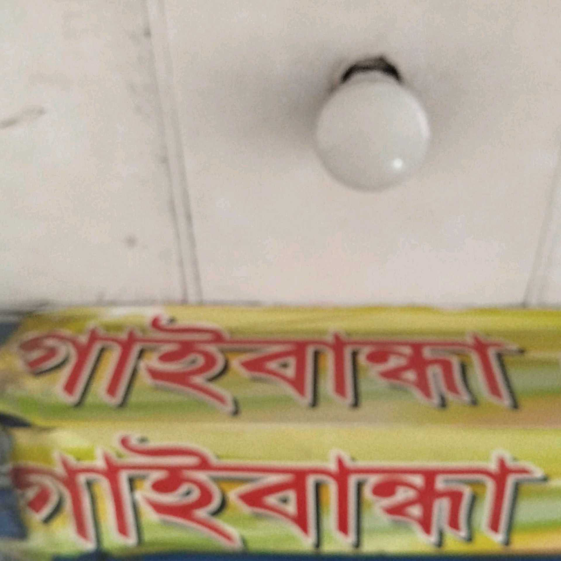 Gaibandha Lays House