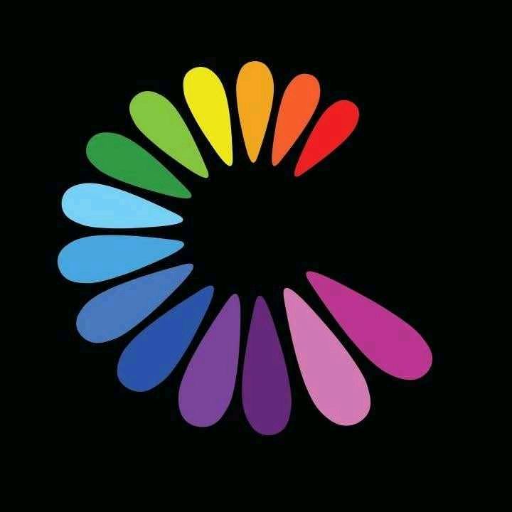 Design N Colour