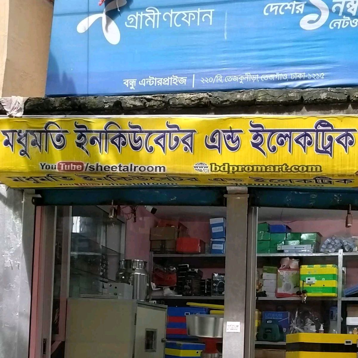 Madhumati Incubator And Electric
