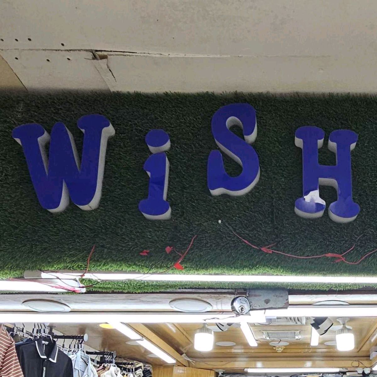 Wish