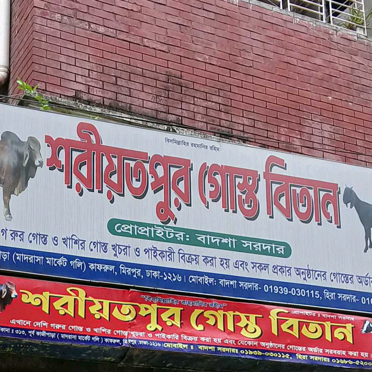 shariatpur Gosto Betan