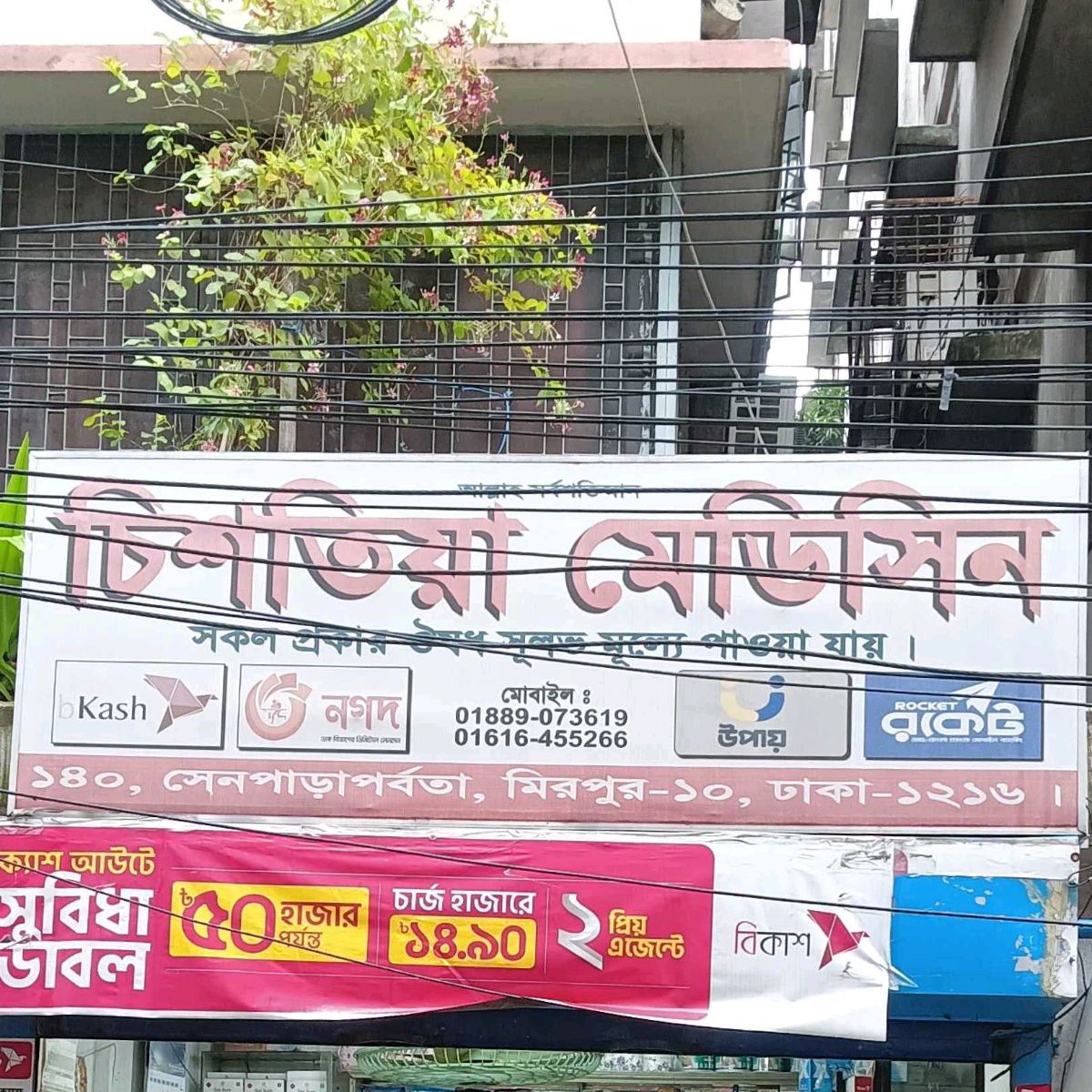 Chishtia Medicine