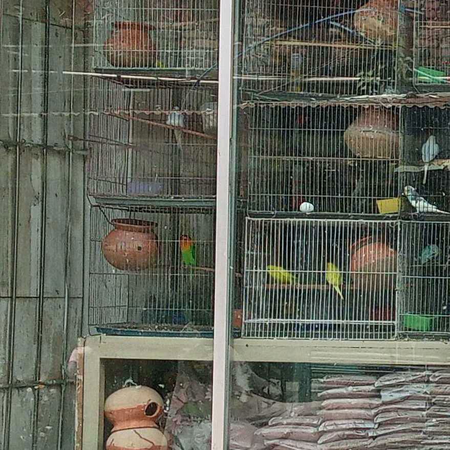 Adiba Varieties & Gift Shop