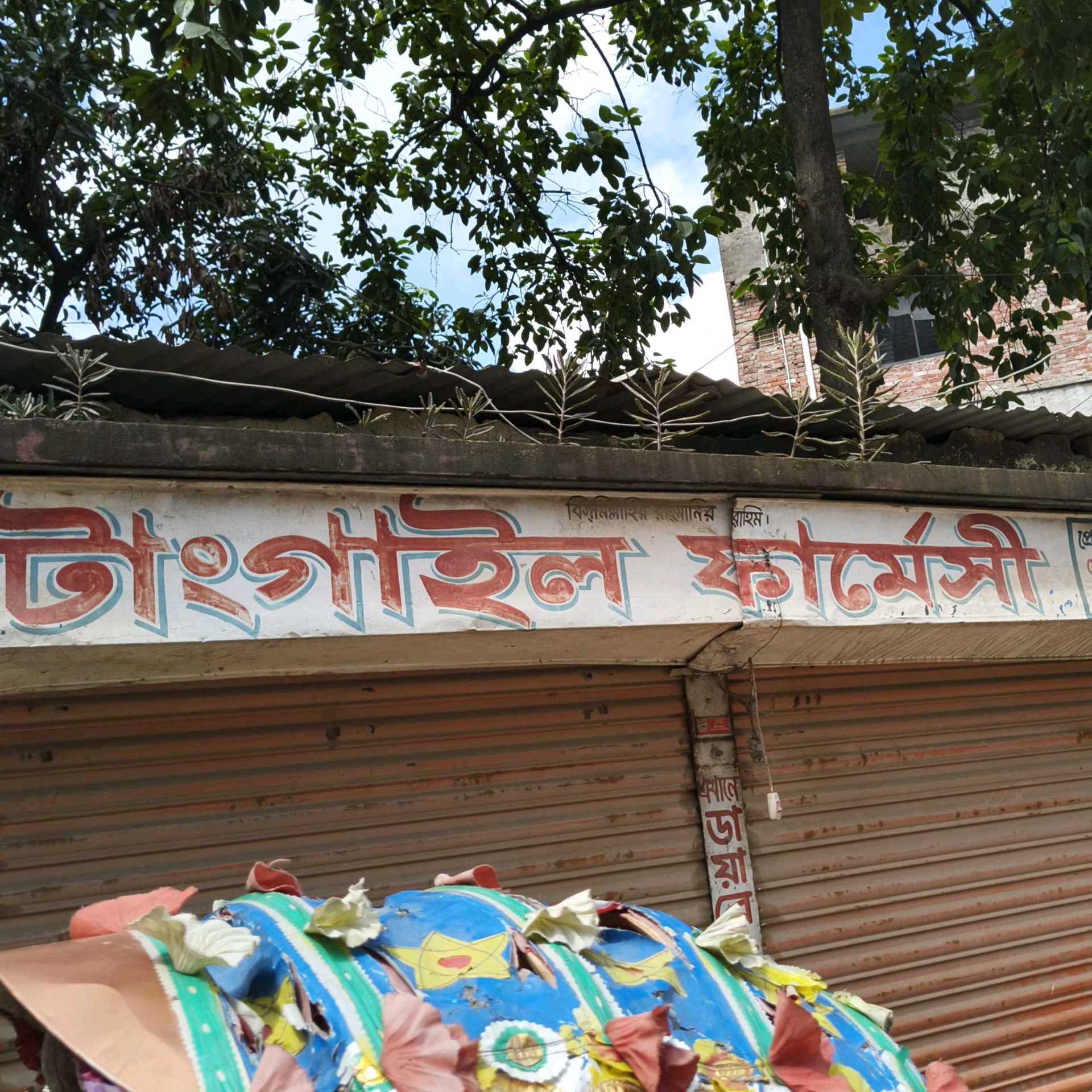 Tangail Pharmacy