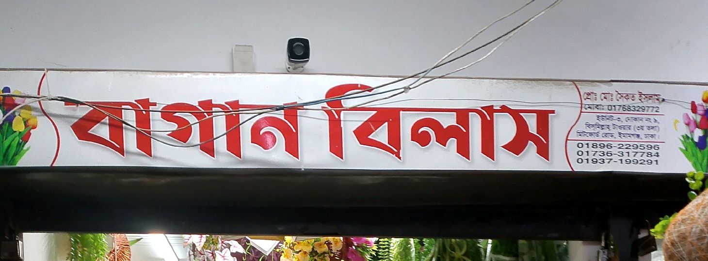 Bagan Bilash